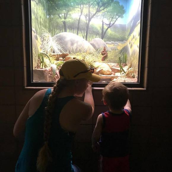 Meet your Posher, Allison - Picture 1 of 1